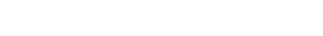 v1 v1